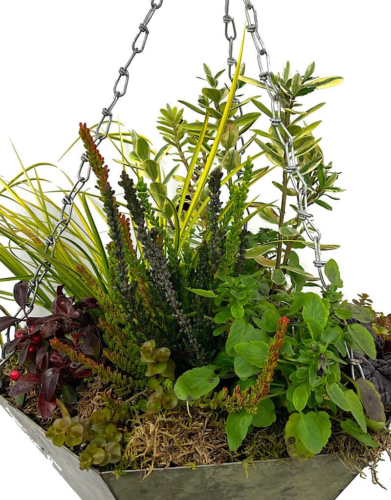 Hanging Garden 19 - The Garden Corner