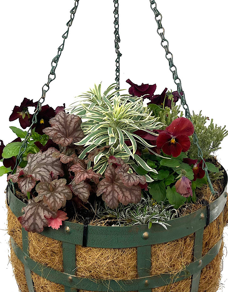 Hanging Garden 10