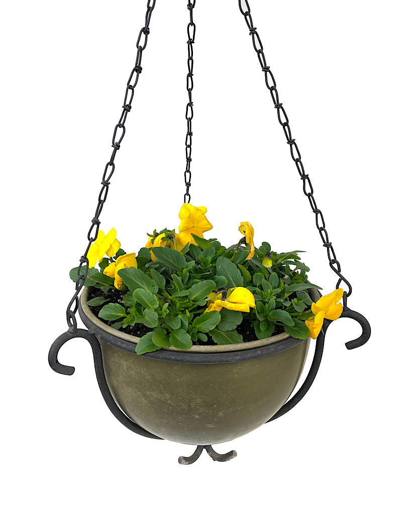 Hanging Garden 53