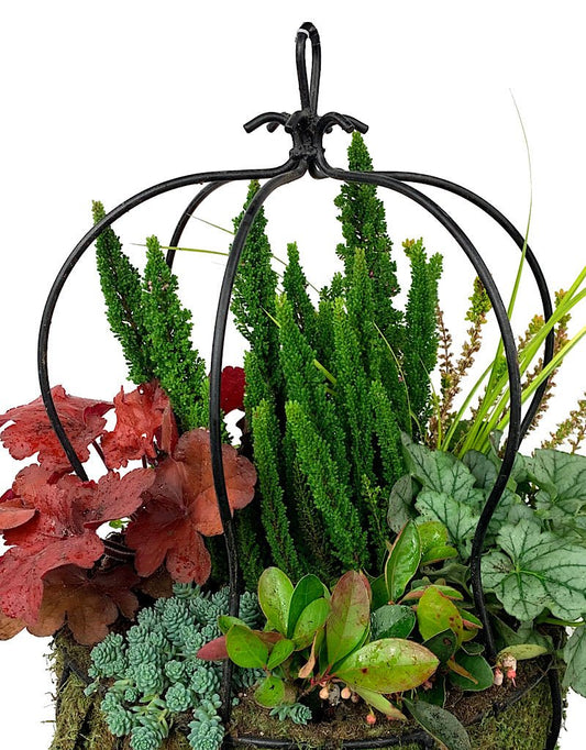 Hanging Garden 50 - The Garden Corner