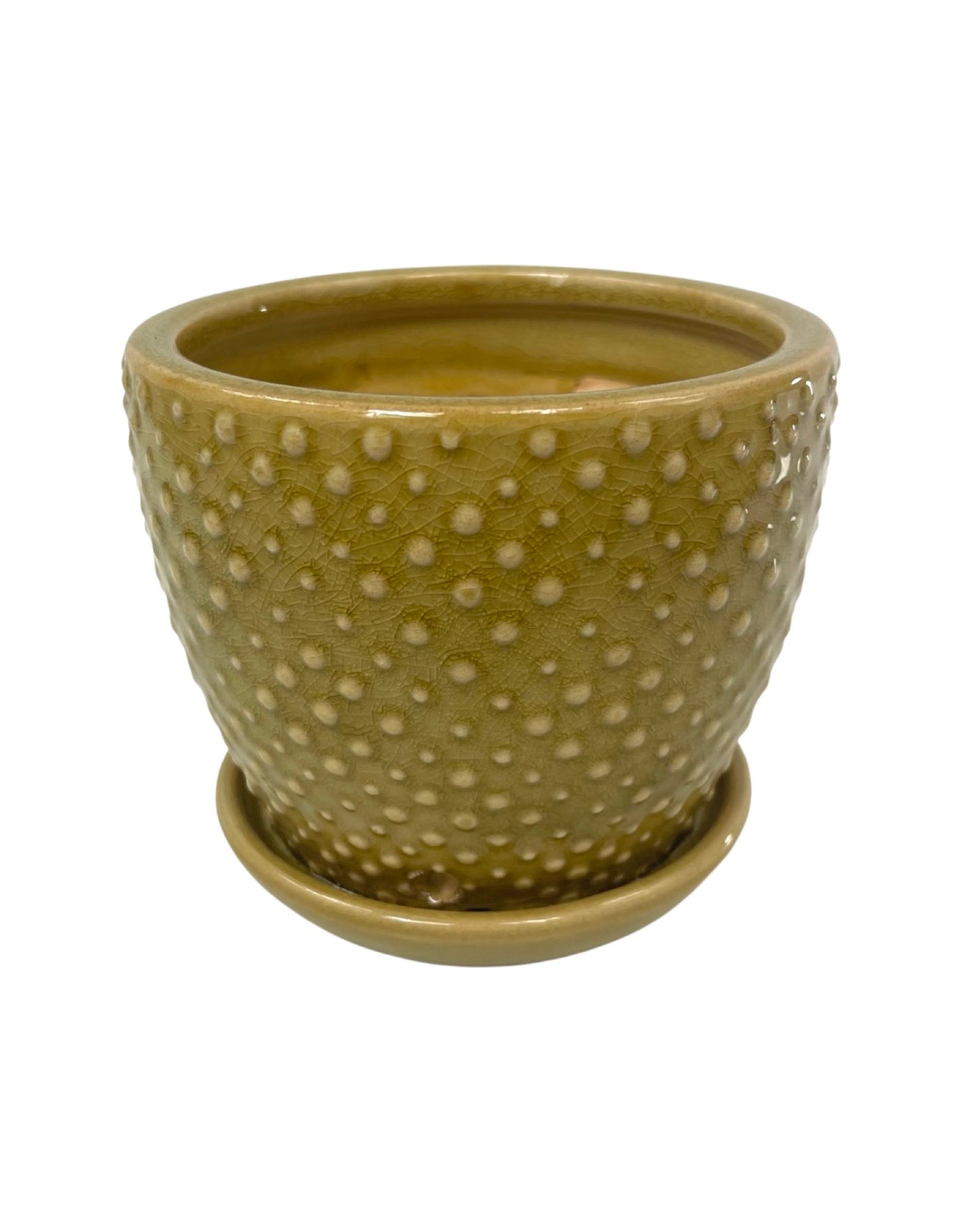 Classic Dot w/ Saucer Yellow - The Garden Corner