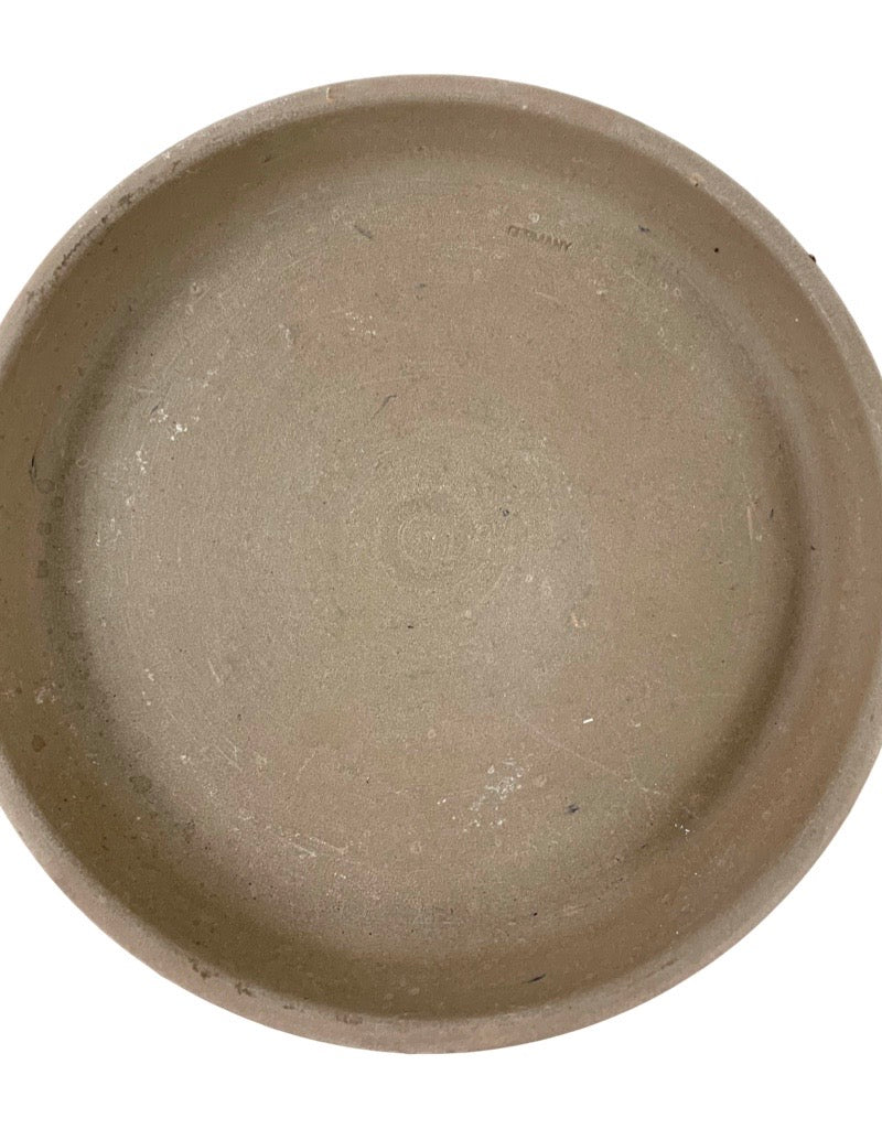 Saucer Colored Terracotta
