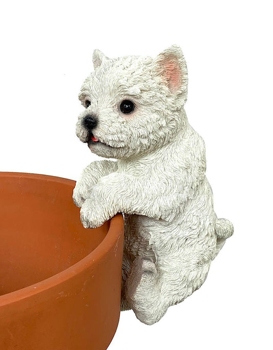 Hang on Westie - The Garden Corner