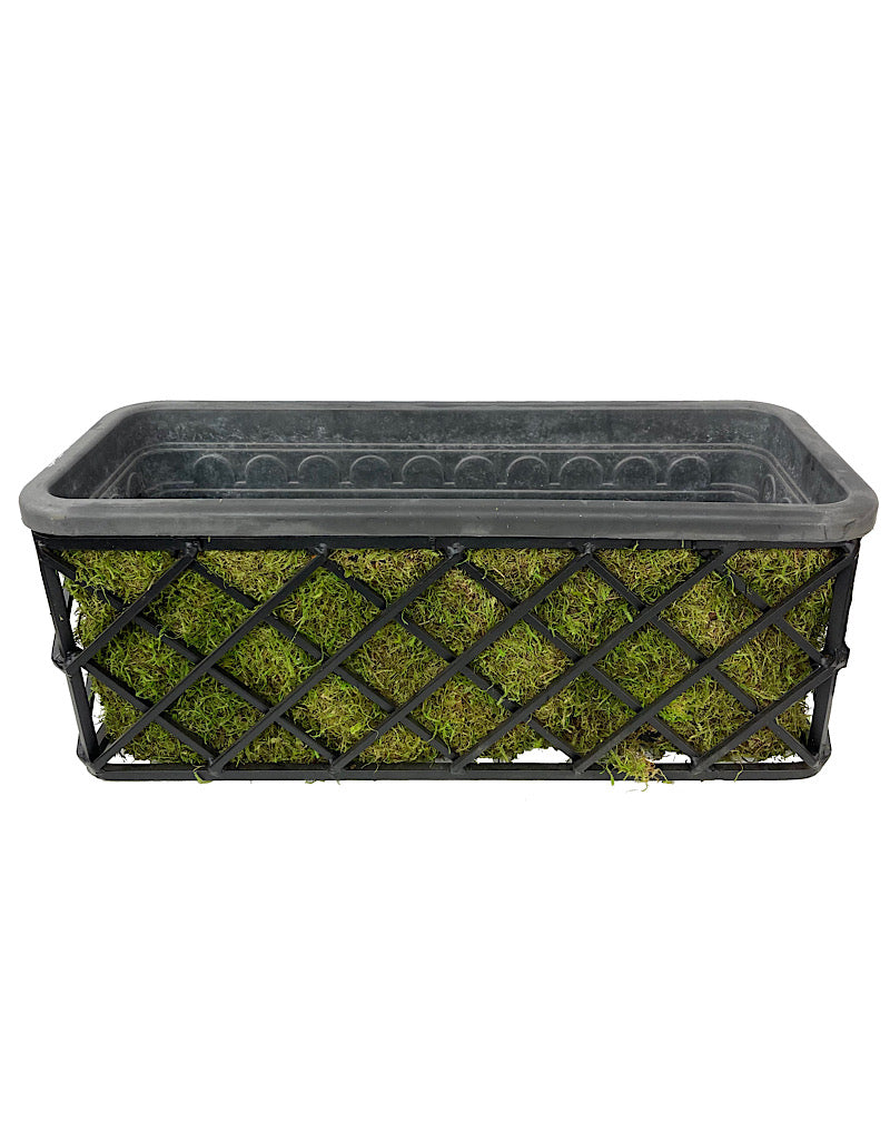 Passion Window Box Kit
