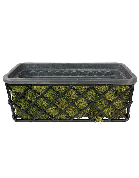 Passion Window Box Kit - The Garden Corner