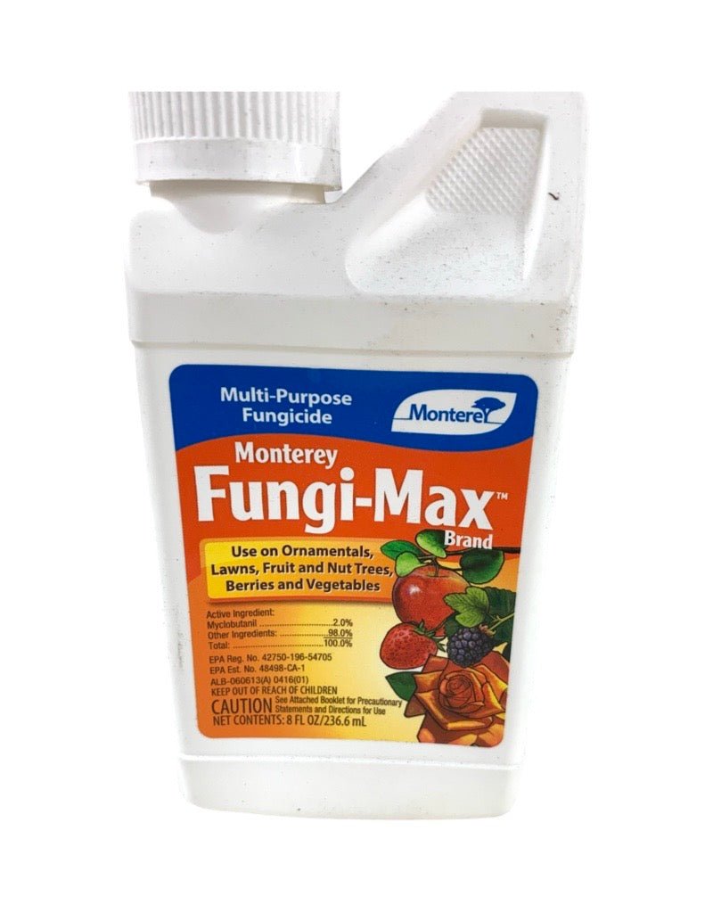 Monterey Fungi - Max 8 Ounces - The Garden Corner