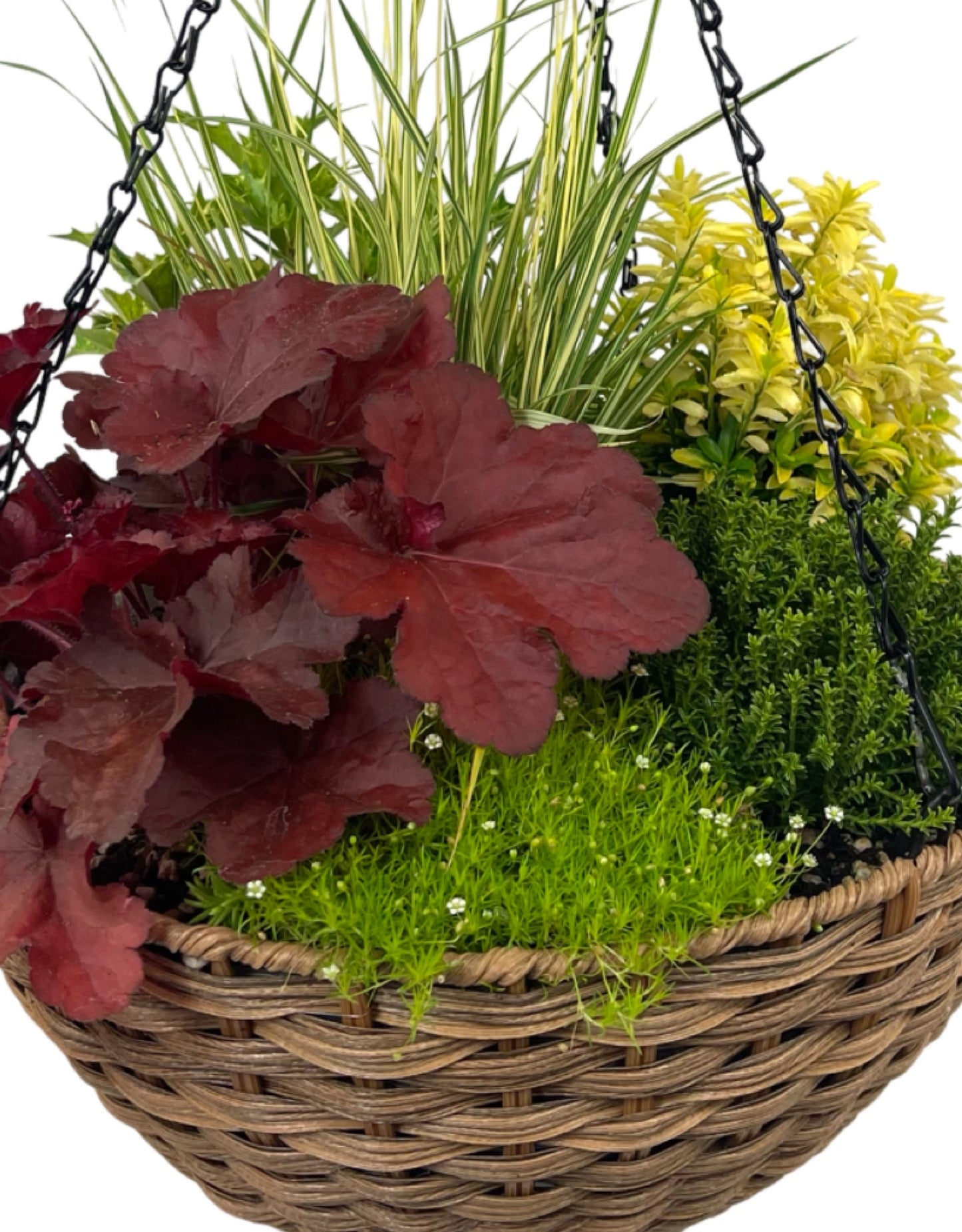 Hanging Garden 6 - The Garden Corner