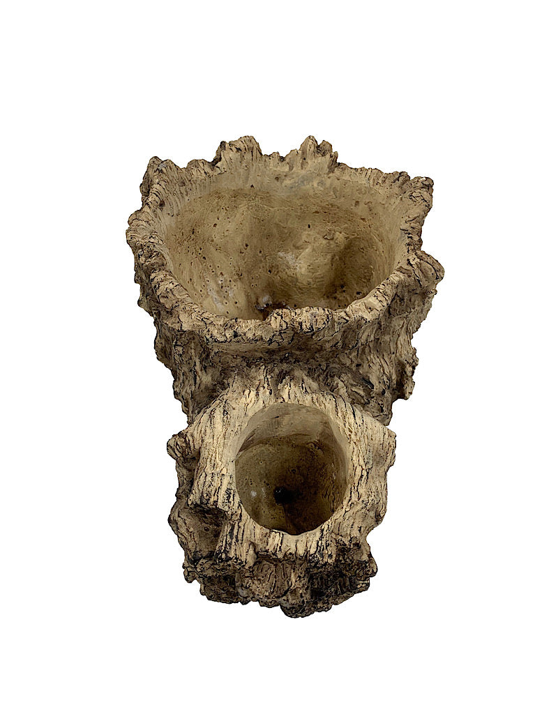 Wedgewood Double Planter 11 Inch
