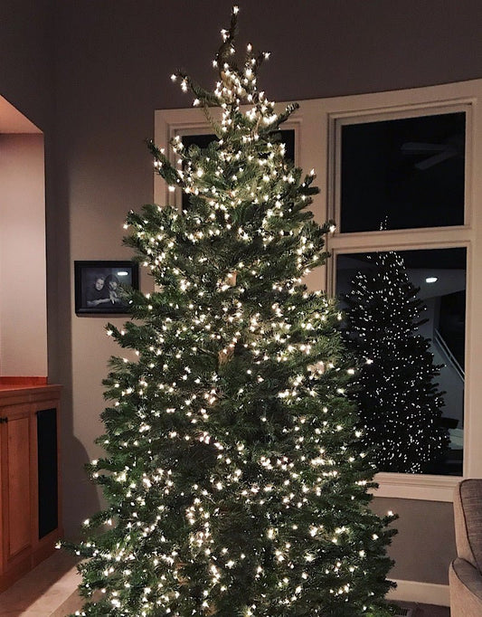 Christmas Tree Lighting Service - The Garden Corner