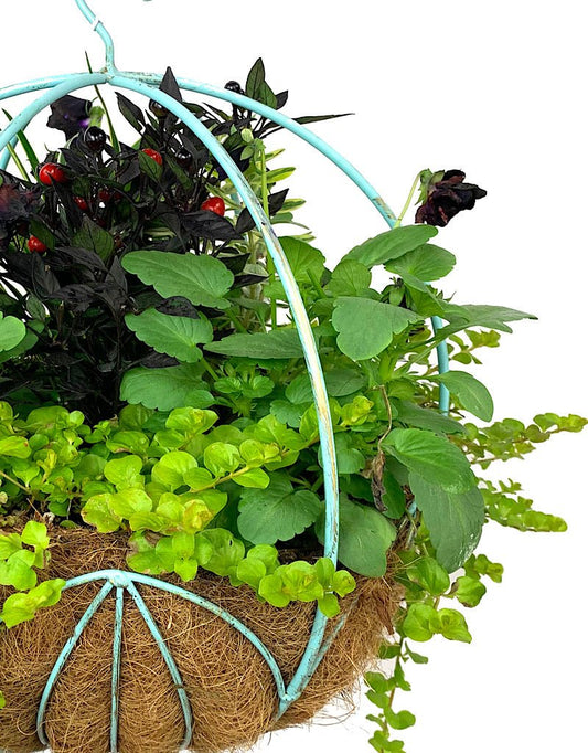 Hanging Garden 33 - The Garden Corner