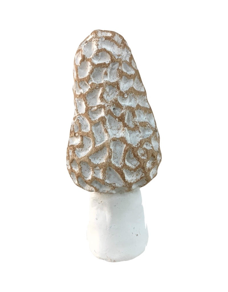 Concrete Morel Mushroom