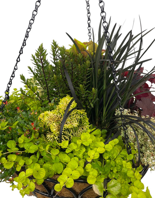 Hanging Garden 8 - The Garden Corner