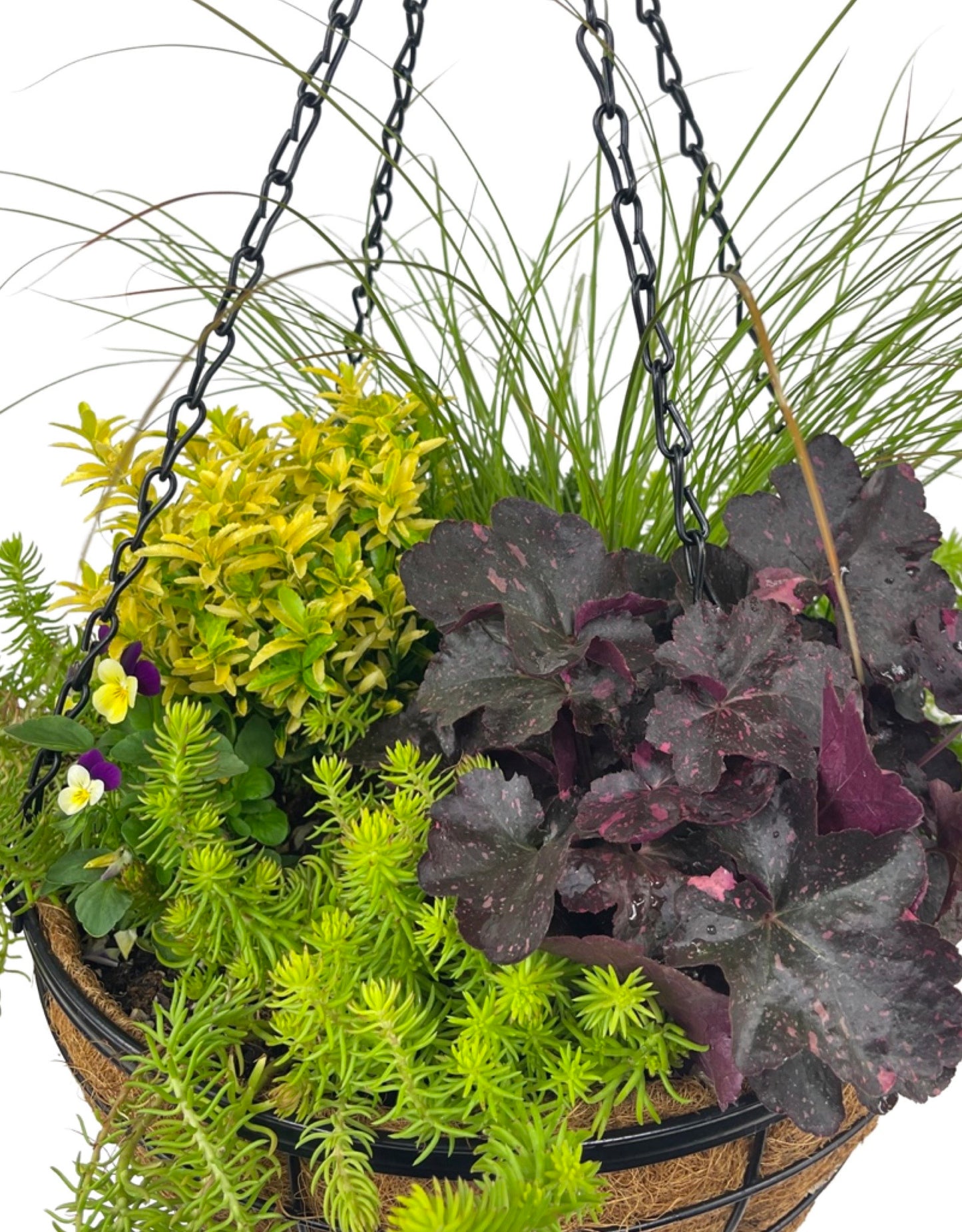 Hanging Garden 7 - The Garden Corner