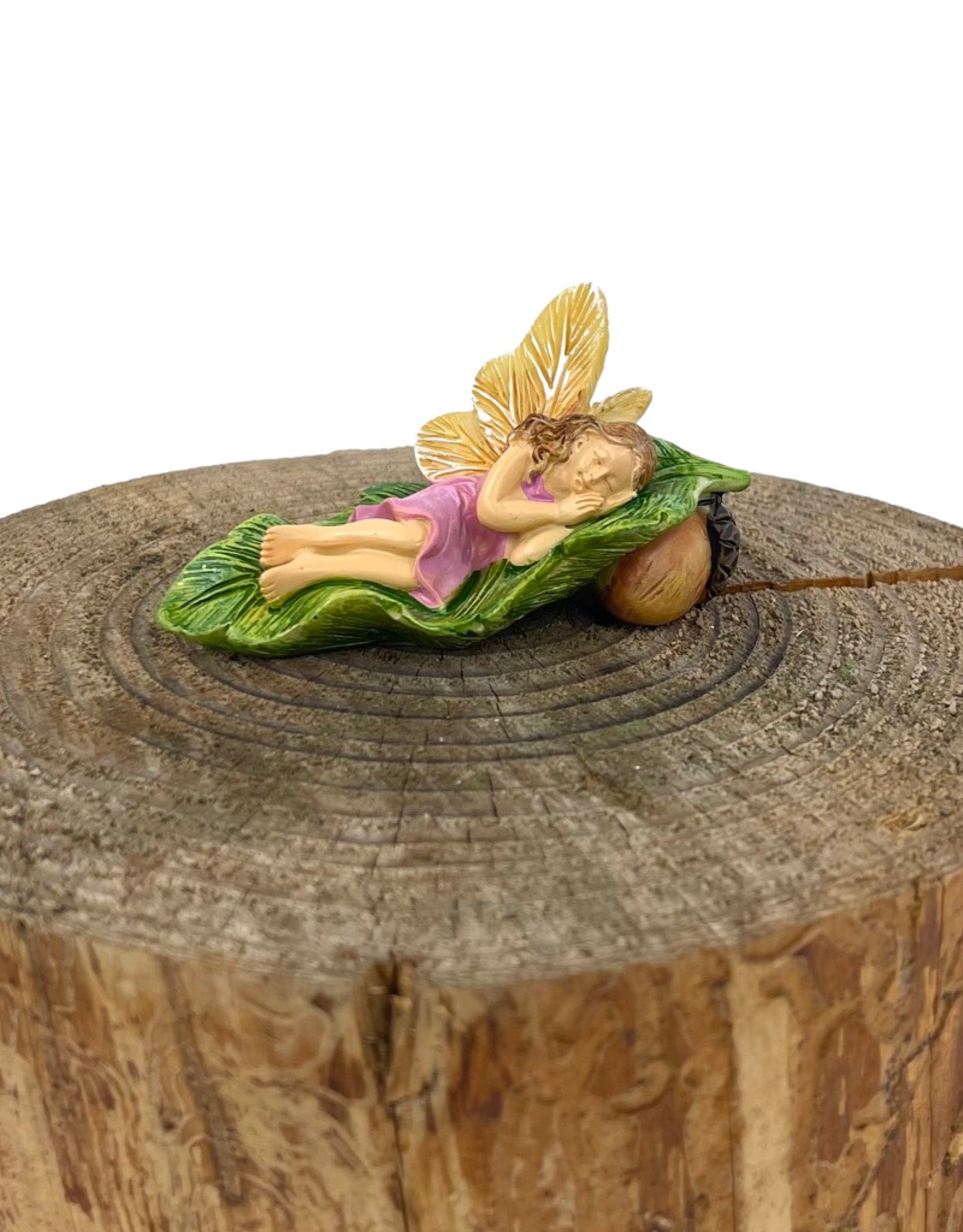 Fairy Napping - The Garden Corner