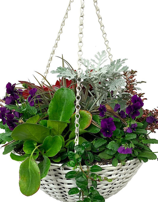 Hanging Garden 43 - The Garden Corner