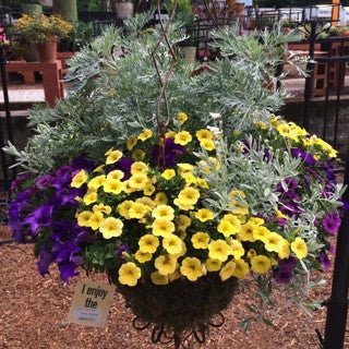 GC Exclusive 24 - The Garden Corner