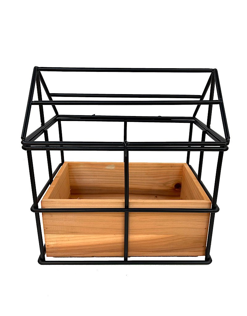Wire and Wood No Glass Terrarium Planter - Outdoor Living