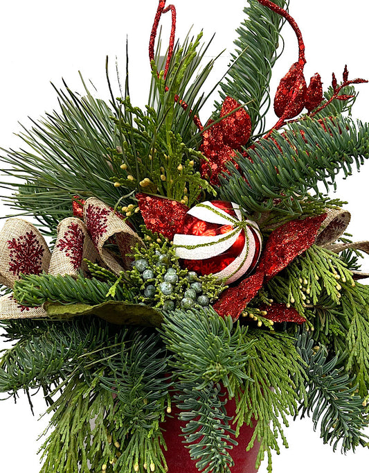 Designer Holiday Planter #2 - Christmas Greens