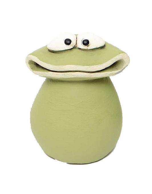 Googly Eyes Frog - The Garden Corner