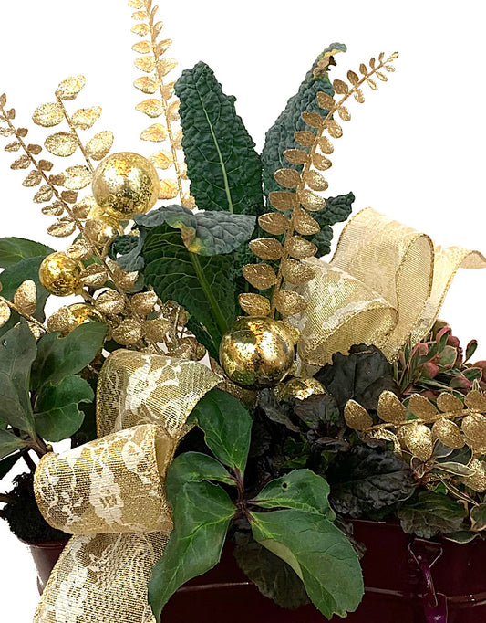 GC Exclusive 14 - Planters