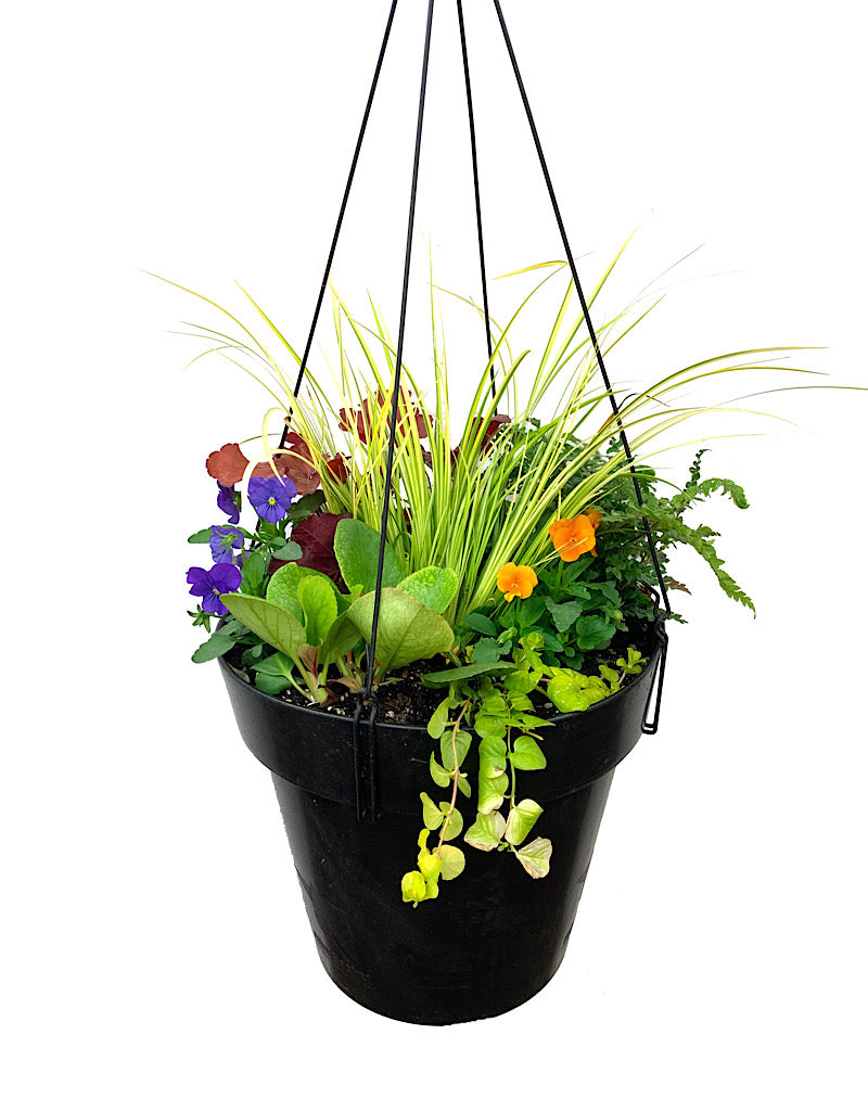 Hanging Garden 23