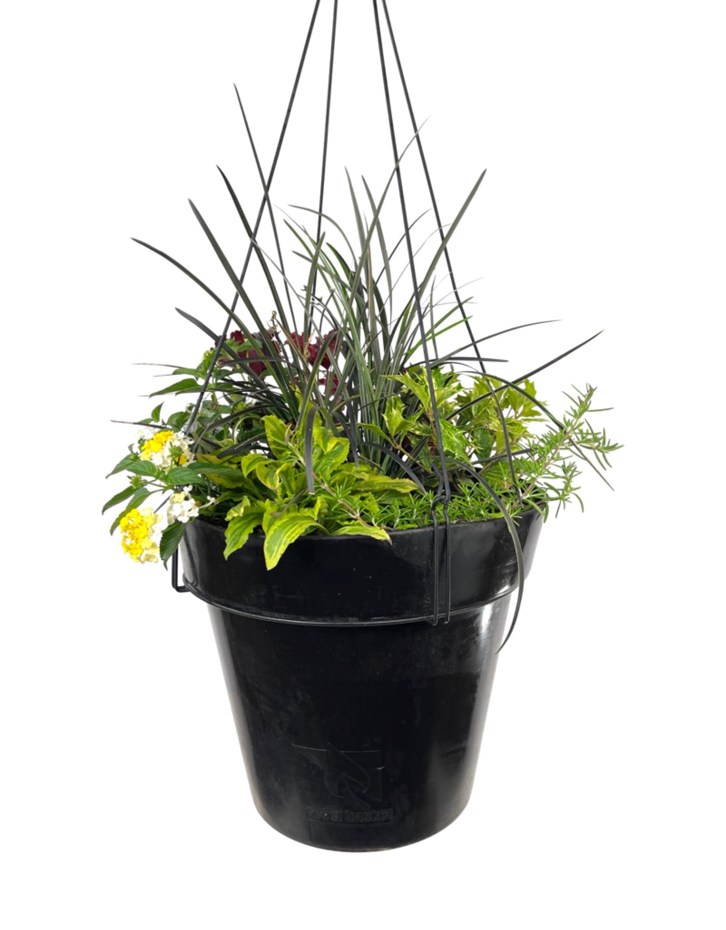 Hanging Garden 2