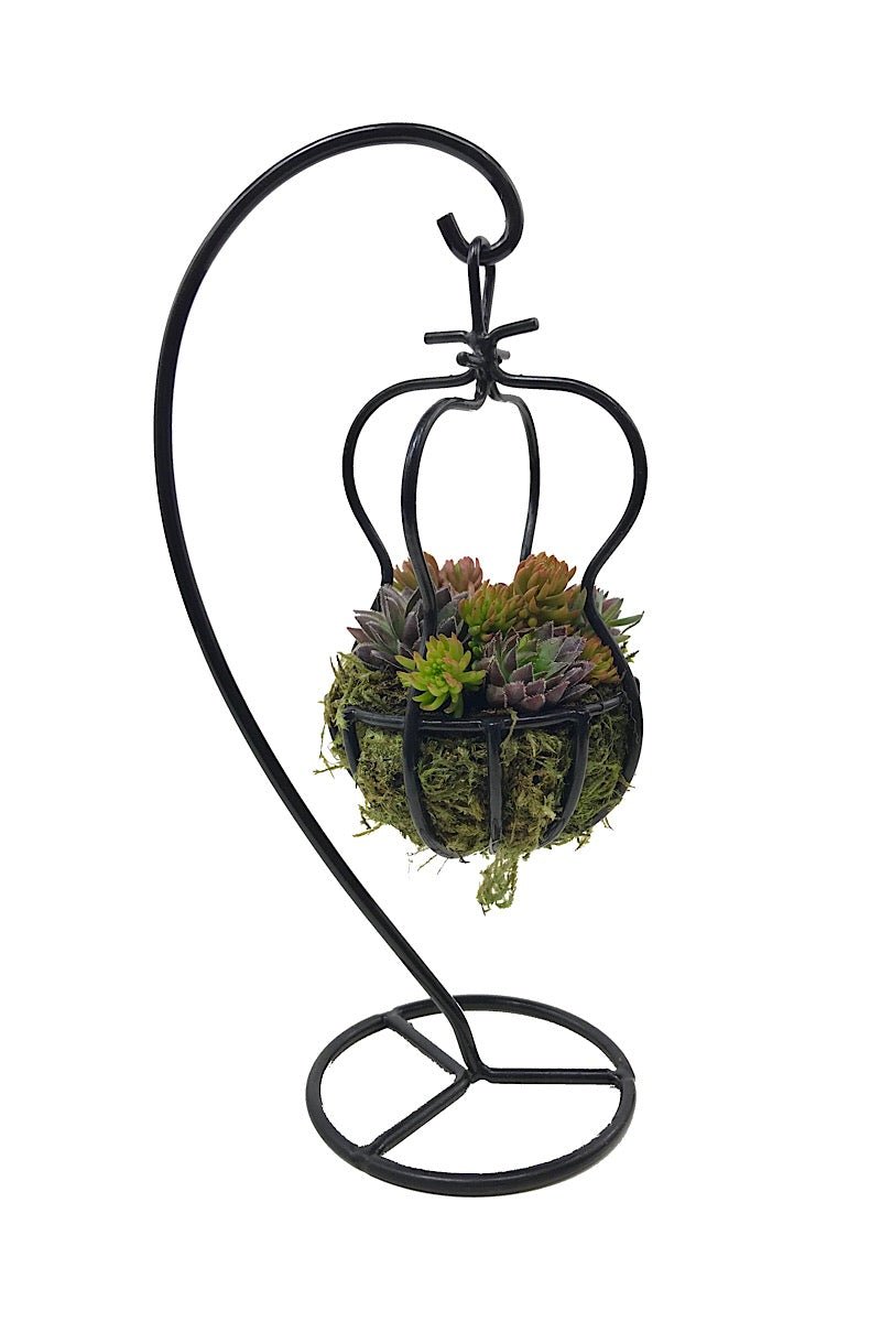 hanging corner plant Our Smallest Hanging Basket – The Garden Corner