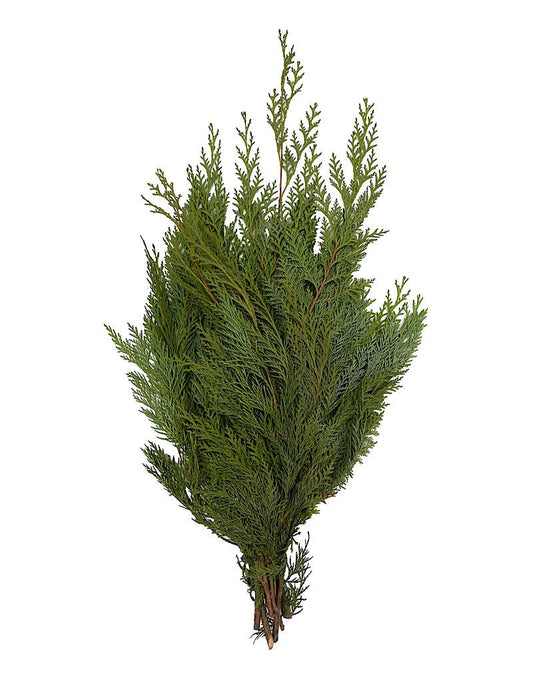 Premium Greenery Bundles - The Garden Corner