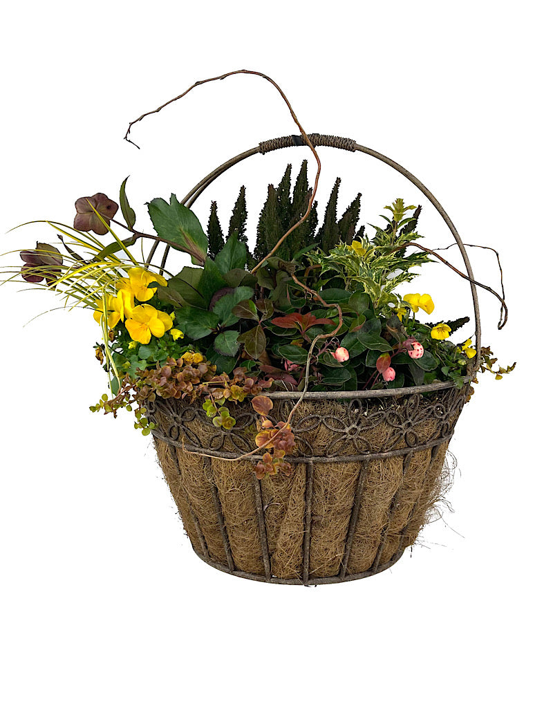 Hanging Garden 44