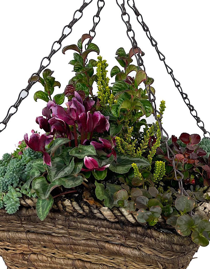 Hanging Garden 31 - The Garden Corner