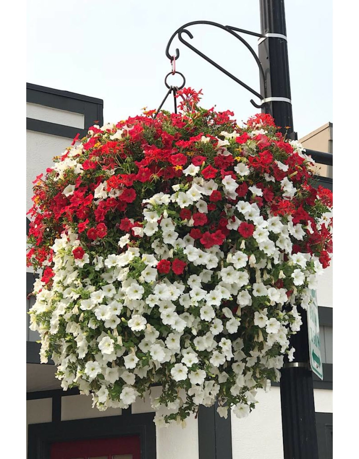Passion Basket Year Round Subscription - The Garden Corner