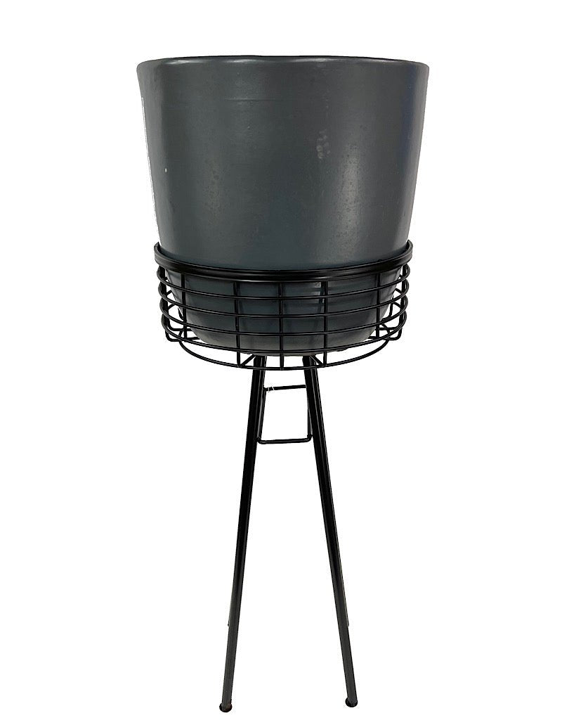 Wire Basket Plant Stand 24 Inch - The Garden Corner