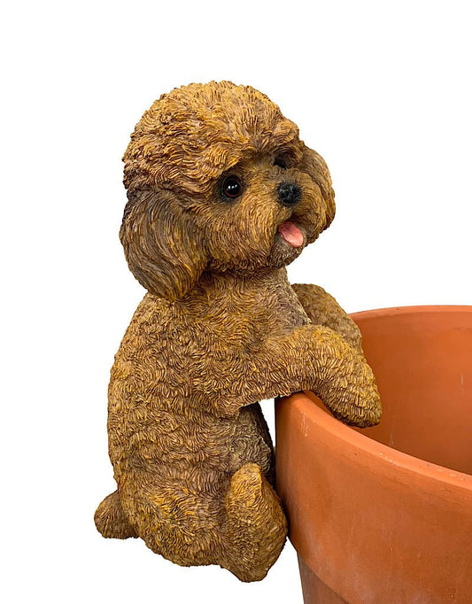 Hang on Cockapoo - The Garden Corner