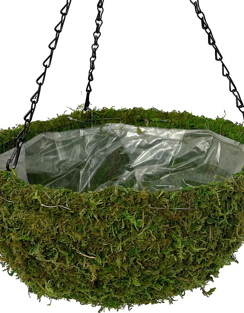 Moss Basket - The Garden Corner