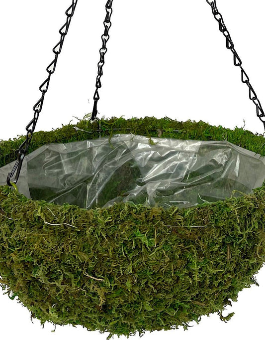 Moss Basket - The Garden Corner