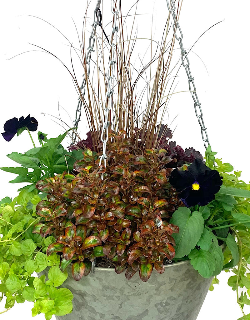 Hanging Garden 37