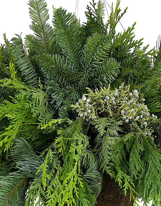 Hanging Holiday Greenery Basket Small - The Garden Corner