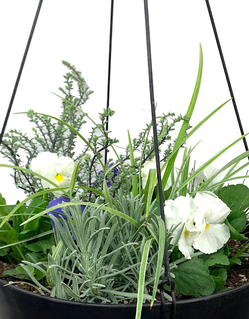 Hanging Garden 12 - The Garden Corner