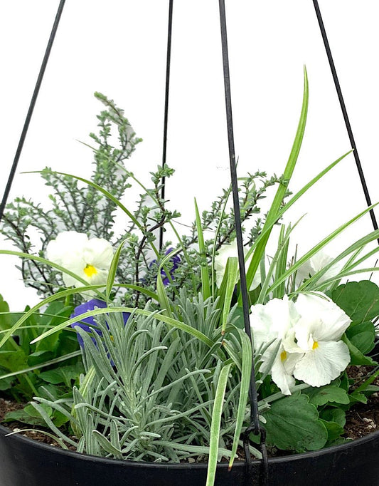 Hanging Garden 12 - The Garden Corner