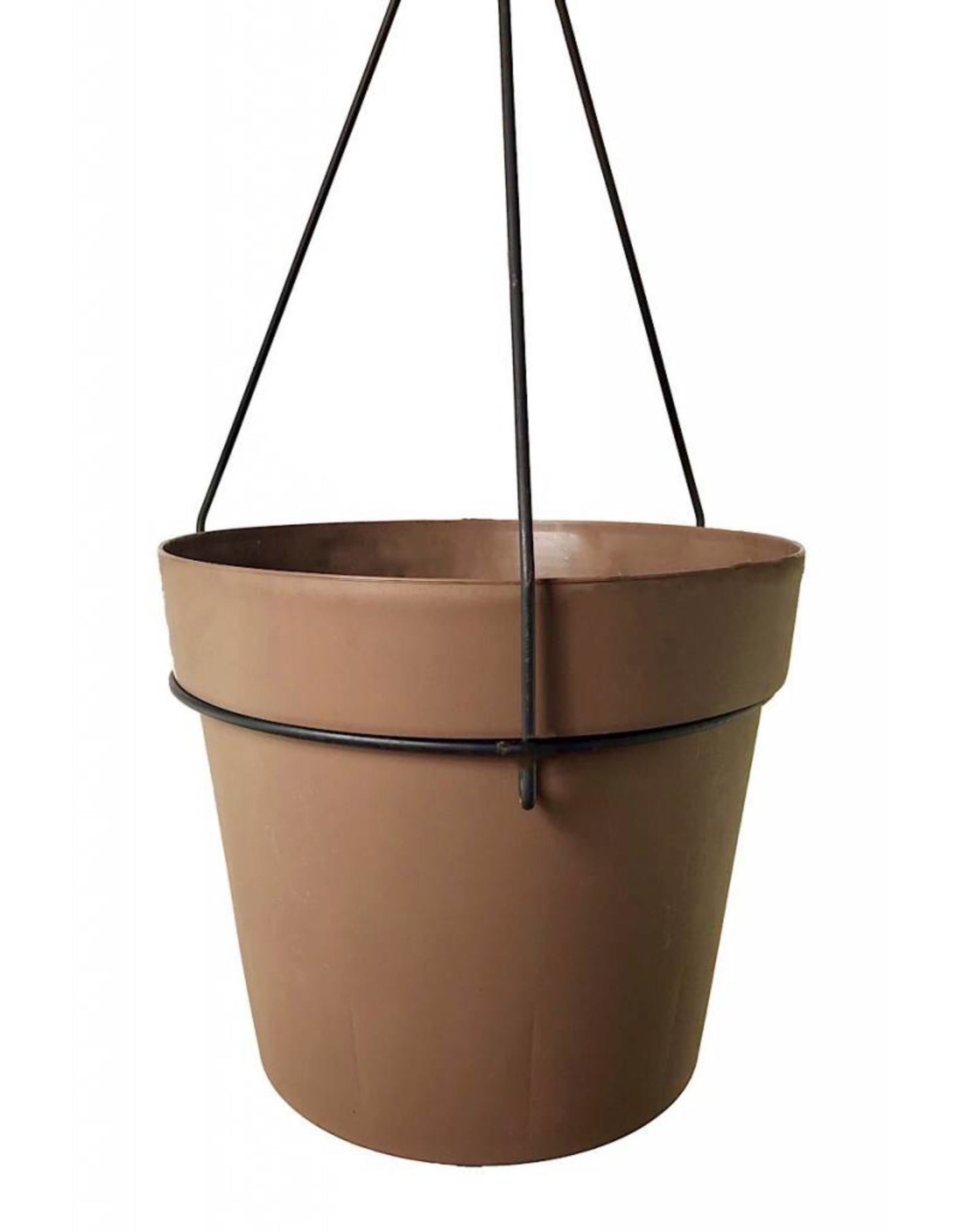 Our Passion Basket - Pre-Order - Annuals