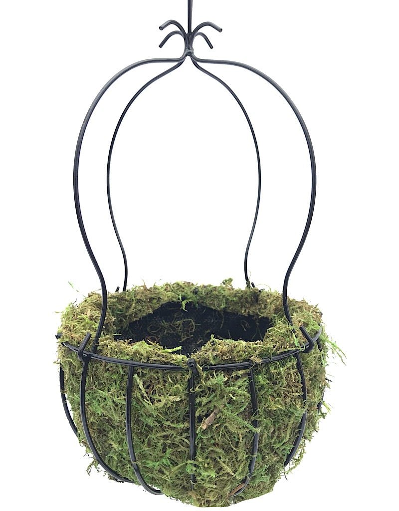 Crown Planter - The Garden Corner