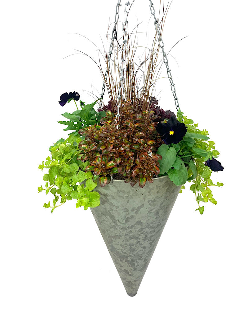 Hanging Garden 37