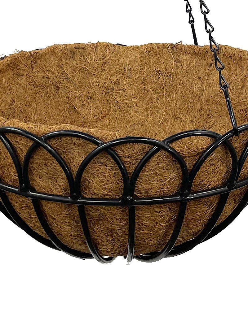 Greenbrier Hanging Basket - The Garden Corner