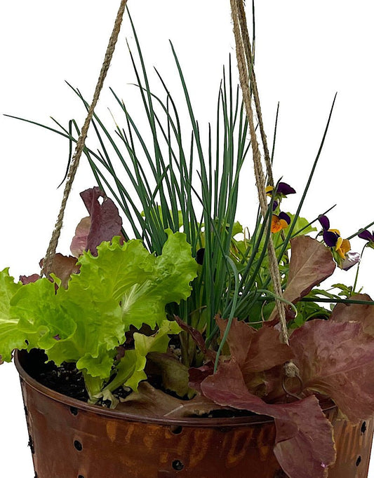 Edible Hanging Garden 1 - The Garden Corner