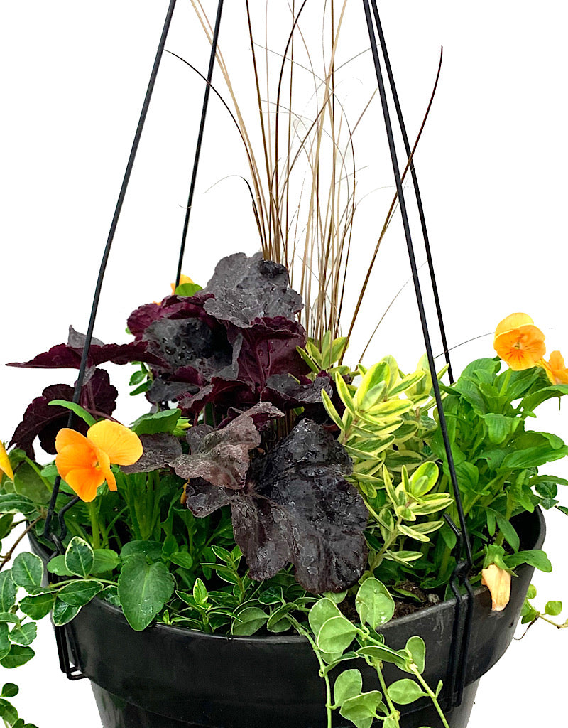 Hanging Garden 13