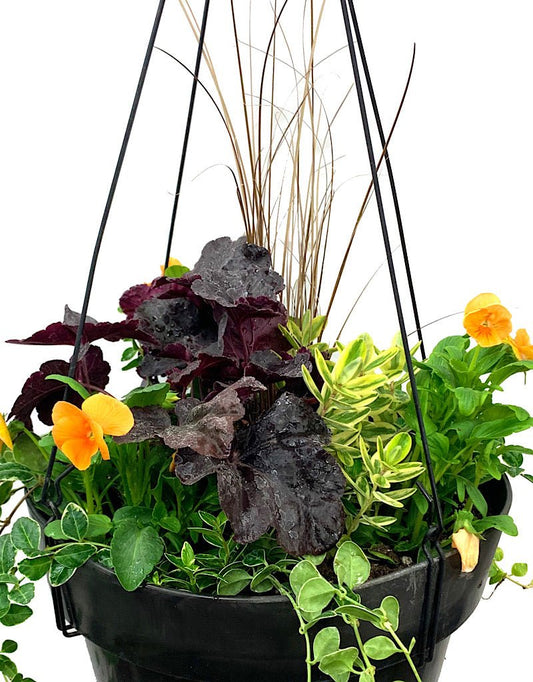 Hanging Garden 13 - The Garden Corner