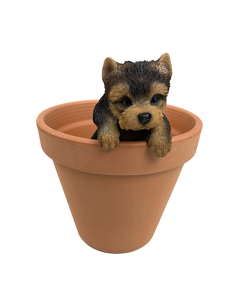 Hanging Yorkshire Terrier Small - The Garden Corner