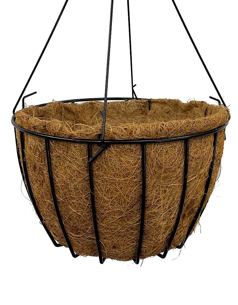 Grower Hanging Basket - The Garden Corner