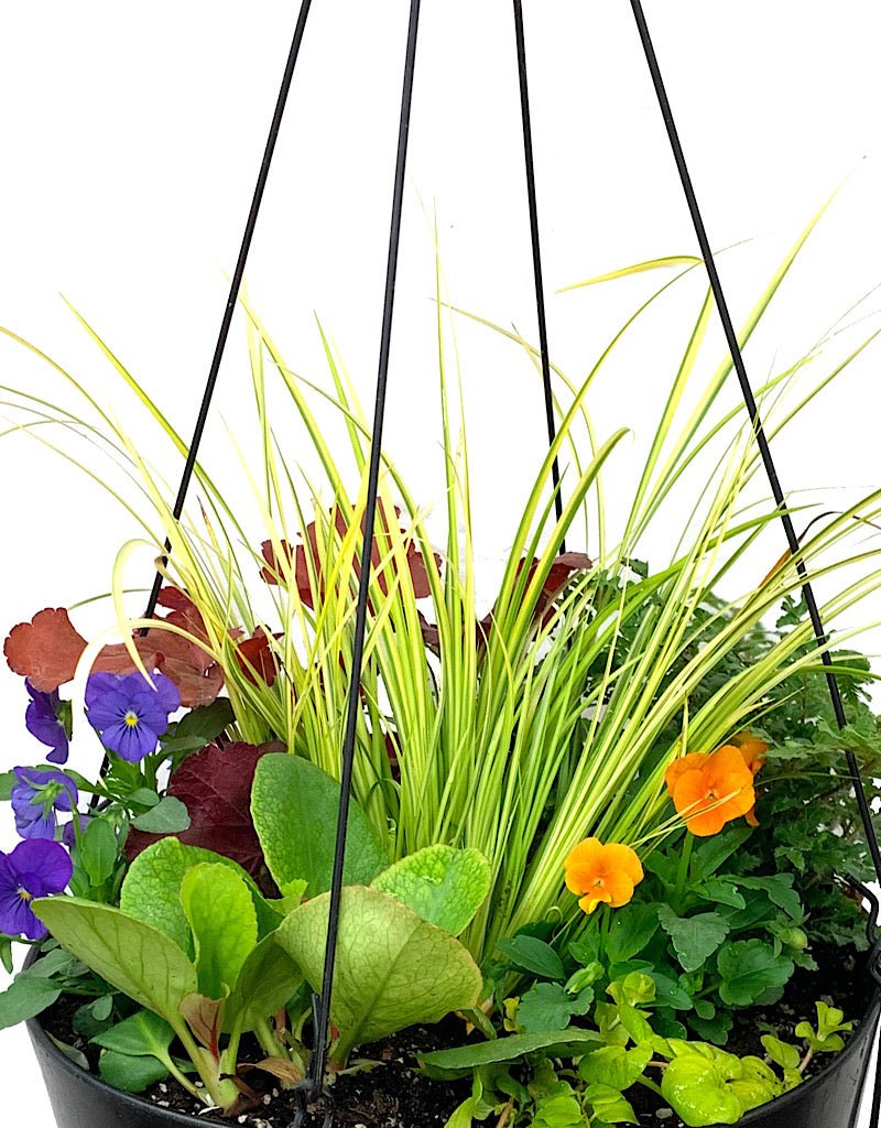 Hanging Garden 23 - The Garden Corner