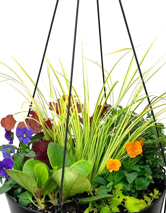 Hanging Garden 23 - The Garden Corner